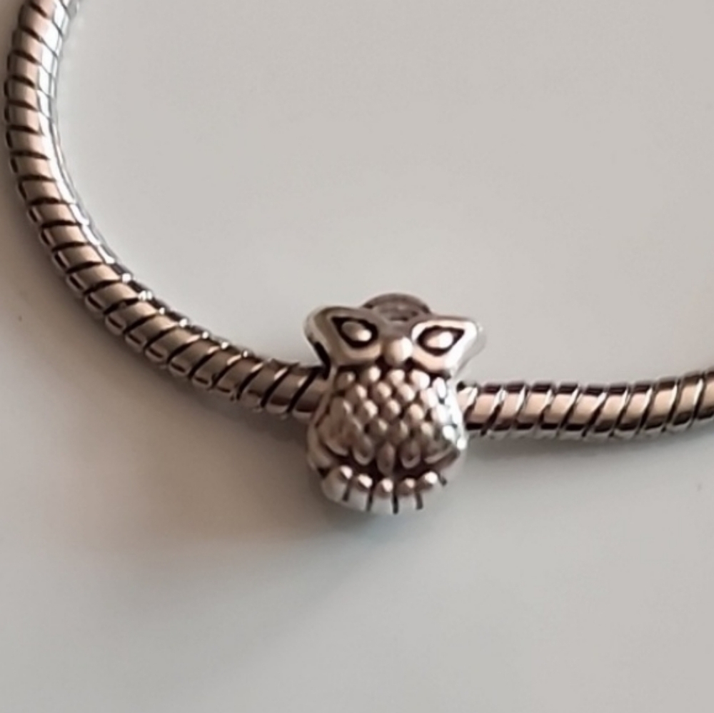 SMART Eyeglass Owl Bracelet Charm Compatable With Pandora